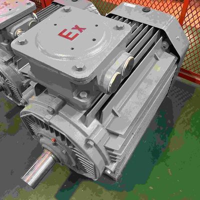 High Voltage Stinless Steel Flameproof Electric Motor Three phase