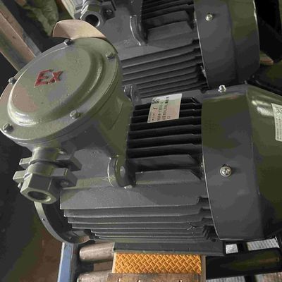 230V 1KW Low Voltage Electric Motors High Efficient RoHS