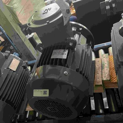 220V Single Phase Electric Motors Low Voltage With CCC