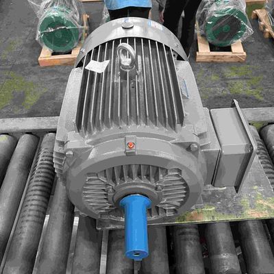 Low RPM High Efficiency Electric Motors For Packing Machinery