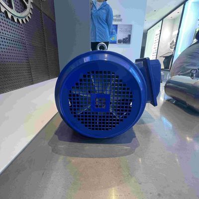 YE3 Model Carbon Steel High Efficient Electric Motors For Pumps