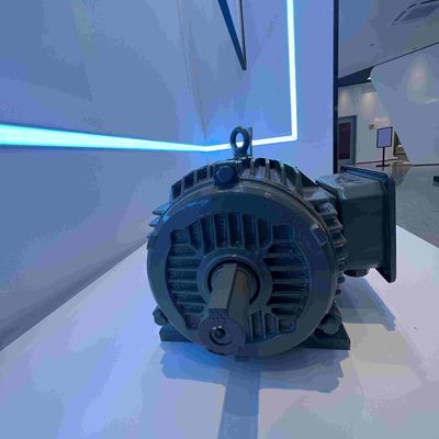 Explosion Proof Single Phase Electric Motors For Storage Facilities