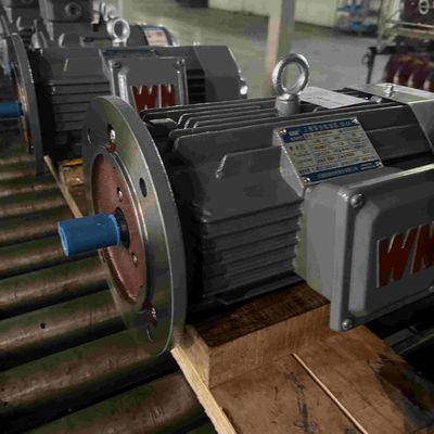 Variable Frequency Three Phase Electrical Motor With NEMA Premium
