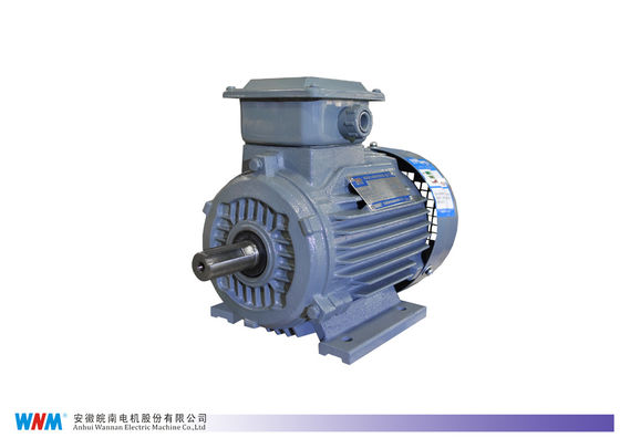 Cast Iron Three Phase Low Voltage Electric Motor with Fixed Frequency